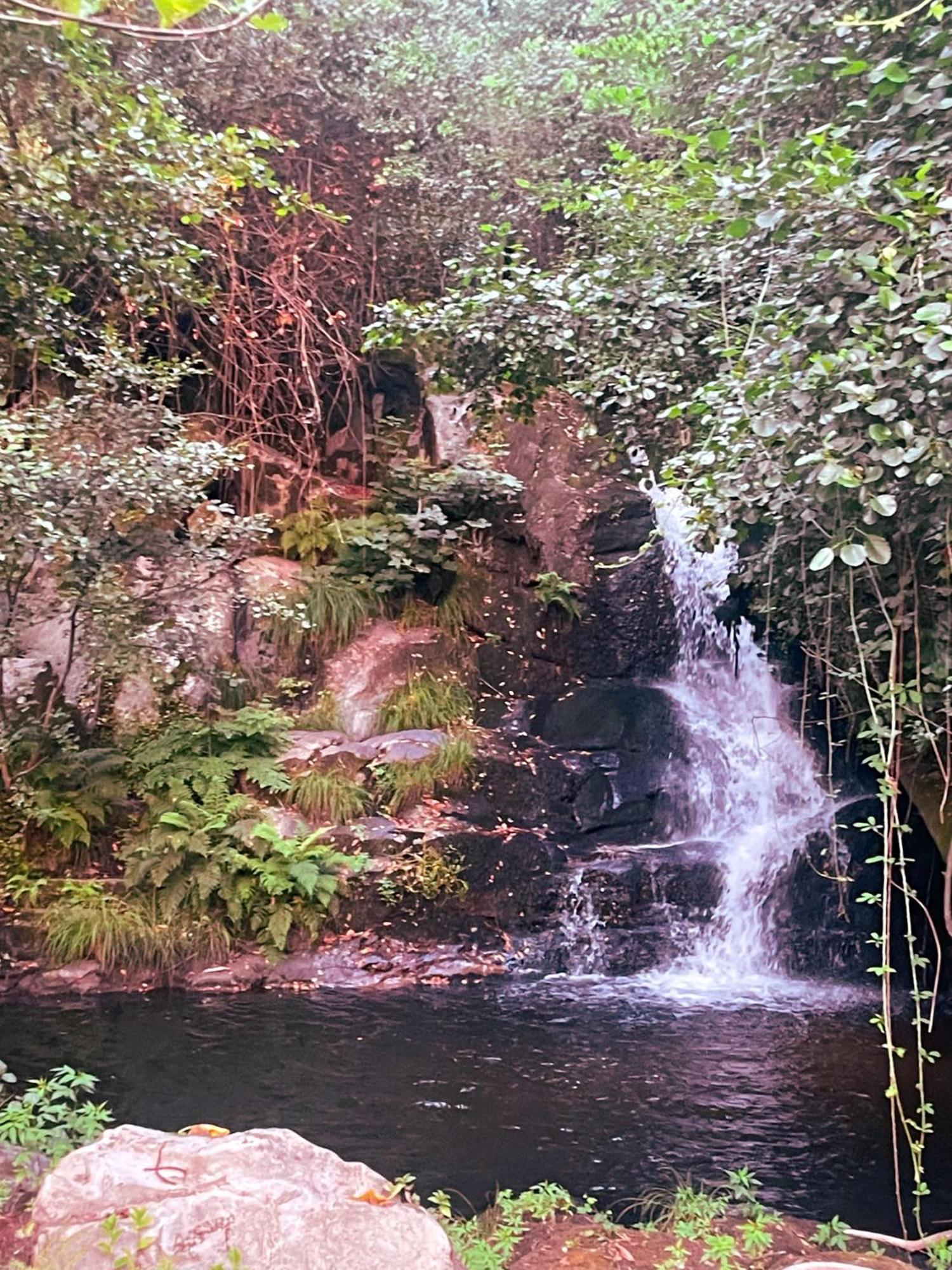 Nascente, Place In Nature Next To A Waterfall Loureiro  Zewnętrze zdjęcie